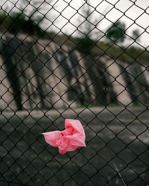 back door 17 Items Photography, Environmental Sculpture, Michael Wolf, Personal Investigation, Wolf Photography, William Eggleston, Highschool Aesthetic, Back Door, Urban Environment