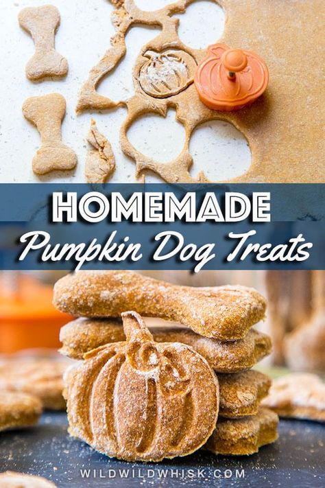 Homemade Pumpkin Dog Treats, Halloween Dog Treats, Dog Treats Recipes, Easy Dog Treat Recipes, Animal Treats, Dog Biscuit Recipes, Dog Pumpkin, Doggy Treats, Easy Dog Treats