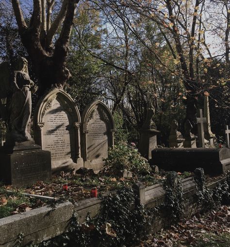 The Graveyard Book, Old Cemetery, Whatever Forever, Old Cemeteries, Gothic Aesthetic, Dark Academia Aesthetic, Visit London, Academia Aesthetic, Graveyard