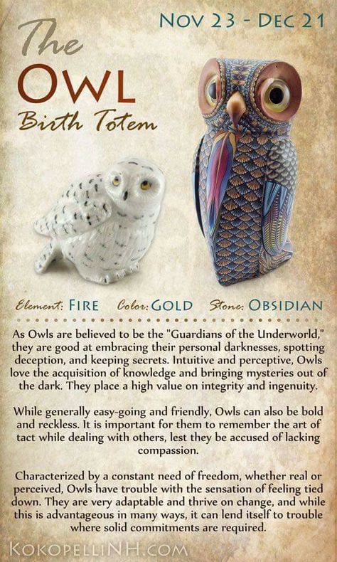 Native American Animal Symbols, Birth Totem, Native American Astrology, Native American Spirit Animals, Animal Totem Spirit Guides, Native American Zodiac, Animal Symbols, Native American Animals, Spirit Animal Meaning