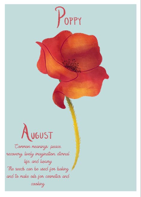 Poppy Flower Meaning, Flower Gladiolus, August Poppy, Logo Design Inspiration Creative, Paint Flowers, August Month, Succulent Garden Diy, Flower Meanings, Month Flowers