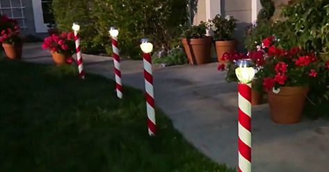 Christmas Lawn Decor, Solar Christmas Decorations, Diy Candy Cane, Christmas Lawn Decorations, Solar Christmas Lights, Solar Lights Diy, Candy Cane Decorations, Diy Christmas Lights, Candy Land Christmas Decorations Outdoor