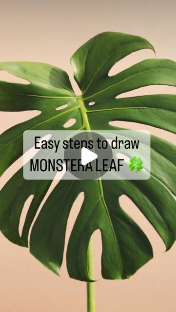 Drawing Monstera Leaf, Monstera Drawn Simple, Painting Monstera Leaves, How To Draw Monstera Leaf, Draw A Monstera Leaf, How To Draw A Leaf, Leaves Drawing Sketches, Monstera Leaves Drawing, Leafs Drawings