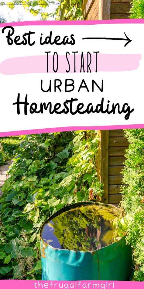 urban homesteading ideas Urban Homesteading Ideas, Growing Your Own Food, Homesteading Ideas, Homestead Farm, Berry Bushes, Mini Pigs, Urban Homesteading, Water Sources, Grow Your Own Food