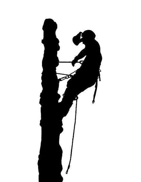 Tree Arborist, Tree Surgeons, Latest Tattoos, Art Sites, America Art, Art Prints For Sale, Stencil Art, Cartoon Character Design, Pen And Paper