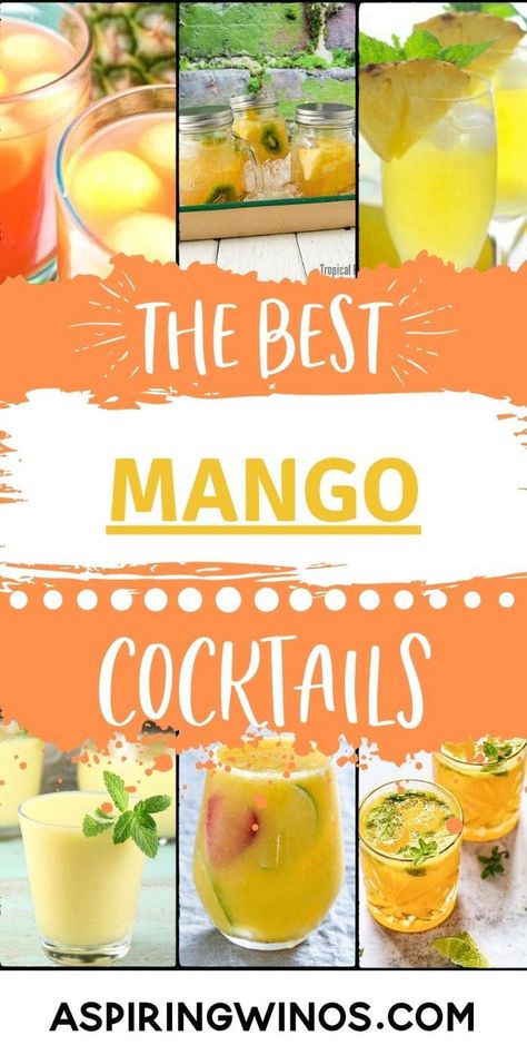 Mango Drink Recipes Alcohol, Cocktails With Mango Juice, Spicy Mango Cocktail, Mango Puree Recipe For Drinks, Mango Liquor Drinks, Mango Punch Recipes, Mango Meltdown Drink Recipe, Mango Summer Drinks, Mango Juice Cocktail Recipes