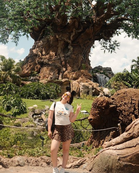 i miss disney content 🥲 so here are some of randoms from animal kingdom day 🦒 PS: dont miss this park! they have some of my fav rides 🤗 Disney Animal Kingdom Outfit, Animal Kingdom Outfit, Disney Fits, Disney Florida, 5 Year Plan, Disney Photo Ideas, Disney Things, Disney Ideas, Disney Photos