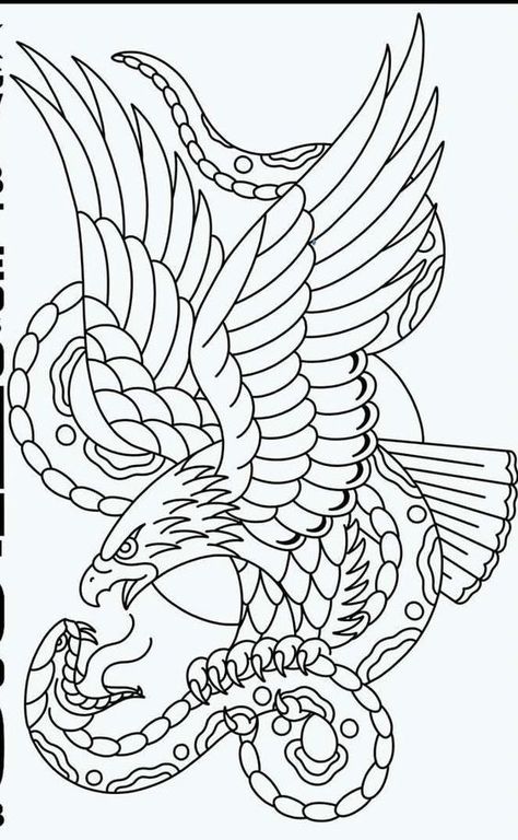 Eagle vs snake Art Flash Art Tattoos, Eagle And Snake, Traditional Tattoo Outline, Tattoo Main, Traditional Eagle, Traditional Eagle Tattoo, Traditional Tattoo Stencils, Snake Tattoo Design, Tattoo Zeichnungen