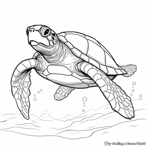 Turtle Eyes Drawing, Drawing A Turtle, Turtle Pencil Drawing, Cute Sea Turtle Drawing, Turtles Sketch, Ocean Sketches, Sea Turtle Coloring Pages, Turtles Drawing, Sealife Drawing