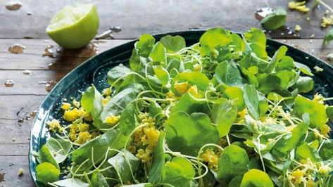 Peter Kuruvita's pennywort salad (gotu kola sambal) recipe - 9Kitchen Farfalle Recipes, Thai Cucumber, Sambal Recipe, Thai Cucumber Salad, Sofrito Recipe, Actifry Recipes, Beetroot Recipes, Turmeric Juice, Pear Salad