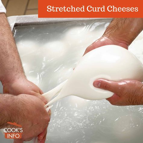 Stretched curd cheeses refers to cheeses whose milk curds have been kneaded and pulled before being formed into a cheese. Milk Curd, Cheese Curds, String Cheese, Provolone, Cheese Ball, How To Make Cheese, Mozzarella, Milk, Cheese