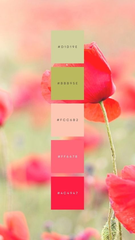 Colours That Go Together, Website Color Palette, Hex Color Palette, Pink Palette, Pastel Designs, Branding Website, Color Lab, Color Club, Branding Website Design