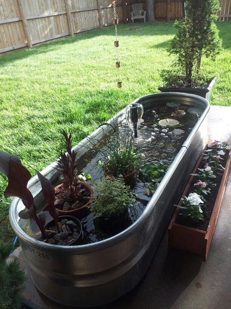 Fish Fountain, Trough Garden, Small Water Gardens, Ponds For Small Gardens, Patio Pond, Backyard Pond, Garden Pond Design, Pond Ideas, Gardening Diy