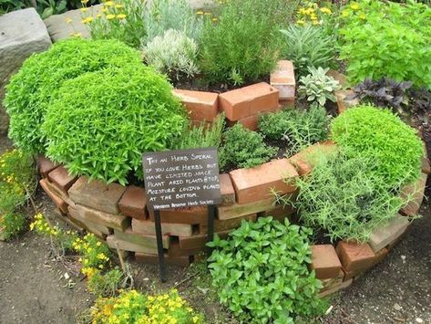 How to plant spiral herbal gardens correctly - list with suitable plants and planting plans | My desired home Herb Spiral, Spiral Garden, Herb Garden Pallet, Herb Garden Pots, Small Herb Gardens, Outdoor Herb Garden, Herb Garden Design, Vertical Herb Garden, Indoor Herb Garden