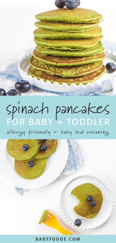 These Easy Blender Spinach Pancakes are a great way to get spinach into your baby and toddler's diets. They are also allergy friendly (gluten free, nut free, and dairy free), made in a blender, freezer-friendly and perfect as a first finger for or for baby led weaning. Basically they are the boss of pancakes! #babyledweaning #fingerfoods Spinach Pancakes For Baby, Toddler Allergies, Pancakes For Baby, Baby Blender, Breakfast Pancakes Recipe, Spinach Pancakes, Baby Pancakes, Baby & Toddler Food, Baby Led Weaning Recipes