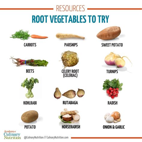 Culinary Nutrition Guide to Root Vegetables: Health Benefits and Recipes Kohlrabi Fritters, Herbed Potato Salad, Parsnip Fries, Beets Carrots, Sweet Potato Kale, Garlic Uses, Celery Root, Root Veggies, Dark Leafy Greens