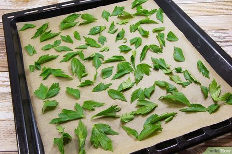 How to Dry Herbs in the Oven (with Pictures) - wikiHow Farming Aesthetic, Drying Fresh Herbs, Herb Drying, Simmer Pots, Herbs Medicinal, Dried Bay Leaves, Spice Rubs, Homestead Recipes, Survival Foods