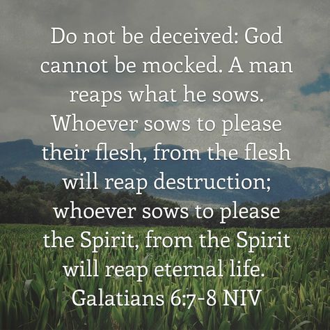 Galatians 6:7-8 Galatians 6 4, Galatians 6:7-8, Galatians 6 7, Do Not Be Deceived, Galatians 6, Word Of Faith, Stained Glass Patterns, In The Flesh, Quotes About God