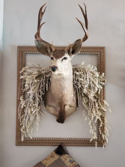 Deer Heads Living Room, Decorating With Deer Mounts, Deer Mount Decor, Deer Skull Decor, Deer Mount Ideas, Hunting Home Decor, Deer Head Decor, Deer Heads Mount, Antler Ideas