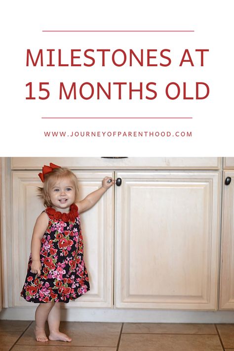 Toddler Milestones, experiences, behavior, and routine for a 15 month old. What to expect with development for your toddler during second year of life.  #toddler #toddlermom #toddlermilestones #toddlerdevelopment #15monthsold #milestones #development 15 Month Milestones, Toddler Milestones, Development Milestones, Baby Olivia, Developmental Milestones, Toddler Development, Baby Prep, Toddler Mom, First Time Moms