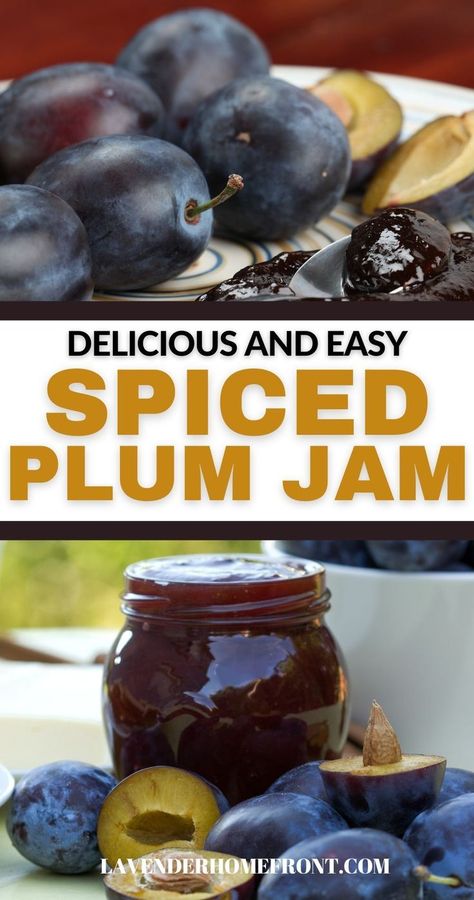 Plum Jelly Recipe Easy, Plum Preserves Recipe, Italian Plum Recipes, Plum Jam Recipe Easy, Plum Jelly Recipe, Jam For Canning, Canning Plums, Homestead Canning, Plum Jam Recipe