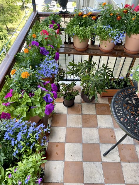 Balkon Decor, Small Balcony Garden, Balcony Flowers, Aesthetic Garden, Balcony Plants, Garden Aesthetic, 아파트 인테리어, House Plants Decor, Balcony Design