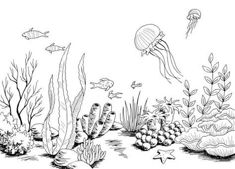 Underwater Grass Drawing, Underwater Theme Drawing, Coral Reef Tattoo Black And White, Ocean Bottom Drawing, Underwater Ocean Drawing, Sea Bed Drawing, Underwater Landscape Illustration, Simple Underwater Drawing, Under Ocean Drawing