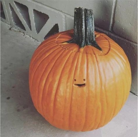 Silly Pumpkin Faces, Cool Pumpkin Designs, Pumpkin Face Carving, Funny Pumpkin Carvings, Cute Pumpkin Carving, Pumkin Carving, Creative Pumpkin Carving, Easy Pumpkin Carving, Scary Pumpkin Carving