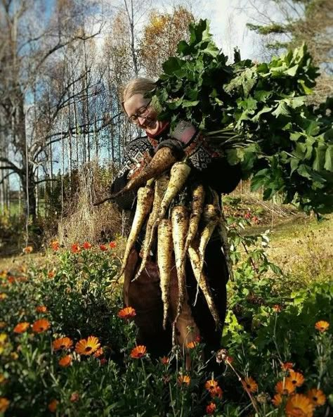 Holy Cow, Farm Gardens, Green Space, Slow Living, Future Life, Permaculture, Country Life, Farm Life, Vegetable Garden