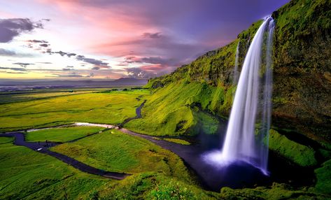 #landscape #nature #waterfall #Iceland Seljalandsfoss Waterfall #1080P #wallpaper #hdwallpaper #desktop Free Background Video, Video For Youtube, No Copyright Video, Seljalandsfoss Waterfall, Holland America Line, Time Lapse Photography, Sa Pa, Video Nature, Iceland Waterfalls