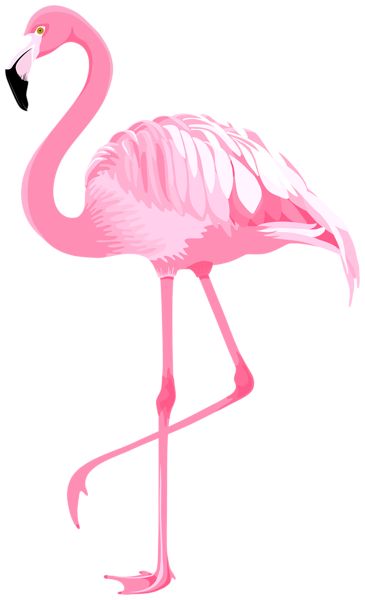 Flamingo Clip Art, Flamingo Pictures, Flamingo Illustration, Digital Art Software, Flamingo Art Print, Flamingo Wallpaper, Flamingo Painting, Clip Art Png, Flamingo Art