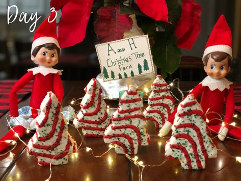 Elf Christmas Tree Farm, Elf Tree Farm, Elf On The Shelf Tree Farm, Elf On The Shelf Christmas Tree Farm, Elf 2024, Hermey The Elf, Christmas Elf Ideas, Elf Tree, Shelf Elf