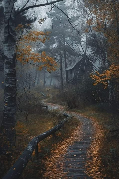 Fantastical Architecture, Autumn Village, Easy Halloween Drawings, Village Landscape, Dark Naturalism, Witch Pictures, Dark Landscape, Dark Phone Wallpapers, Autumn Scenes