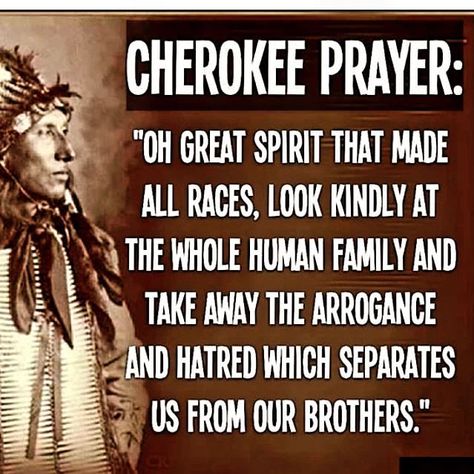 Native Quotes, Indian Wisdom, American Indian Quotes, American Proverbs, Native American Prayers, Native American Proverb, Native American Spirituality, Native American Wisdom, Indian Quotes