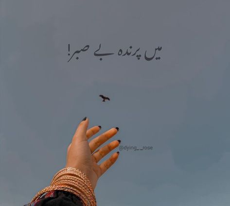 Urdu Song Lyrics For Caption, Aesthetic Urdu Captions For Instagram, Poetry On Eyes, Profile Status, Bush Quotes, One Word Instagram Captions, Caption For Girls, One Line Quotes, Instagram Captions For Selfies