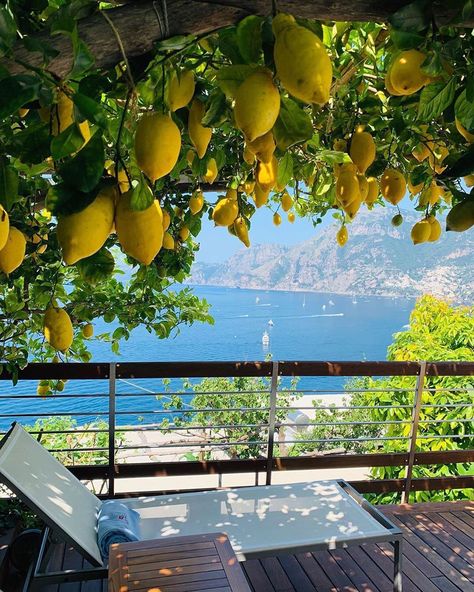 Enjoying the view of the Amalfi Coast from the lemon pergola at the Casa Angelina Hotel in Praiano, Italy 🇮🇹 #UncommonHotels 📷… Beautiful Places To Travel, Beautiful Places To Visit, Pretty Places, Amalfi Coast, Dream Destinations, Travel And Leisure, Travel Aesthetic, The Tree, Amalfi