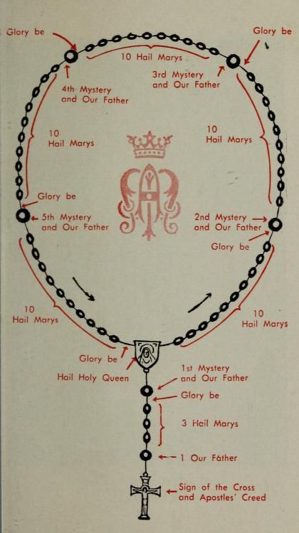 Mysteries Of The Holy Rosary, Rosary Guide, Pray Rosary, Rosary Meditations, Rosary Prayers, Rosary Prayers Catholic, Prayers Catholic, Hail Holy Queen, Contemplative Prayer