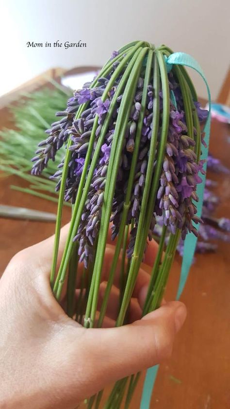 Garden Front Yard, Lavender Wands, Lavender Crafts, Lavender Recipes, Front Yard Landscaping Diy, Yellow Plants, Deco Nature, Front Yard Landscaping Simple, Lavender Plant