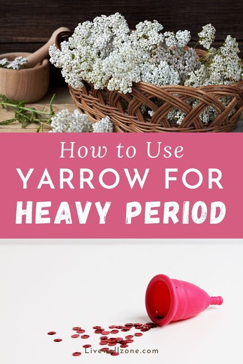 infographic for how to use yarrow for heavy period - menstrual cup and yarrow flowers Benefits Of Yarrow, Hormone Balancing Smoothie, Heavy Menstrual, Menstrual Cramp Relief, Healthy Period, The Menstrual Cycle, Red Raspberry Leaf, Heavy Periods, Balance Hormones Naturally