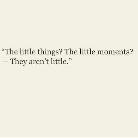 The little things Cherishing Moments Quotes, Qoutes About Living In The Moment, Fleeting Moments Quotes Life, This Moment Quotes, Cherish The Moment Quotes, Time Is Fleeting Quotes, Life Is Fleeting Quotes, Cherish Core, Cherish Aesthetic