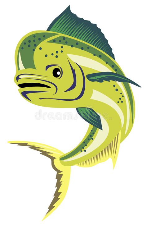 Corporate Sponsorship, Dorado Fish, Background Ocean, Dolphin Fish, Boat Decals, Fish Stock, Fish Illustration, Fish Drawings, Visual Storytelling