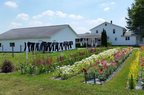 Amish Village, Ranches Living, Grape Arbor, Amish House, Amish Culture, Amish Farm, Front Yard Landscaping Diy, Amish Community, Farm Lifestyle