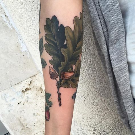 Neo Traditional Tree Tattoo, American Traditional Acorn Tattoo, Tattoo Oak Leaf, Leaf Tattoo Meaning, Oak Acorn Tattoo, Acorn And Oak Leaf Tattoo, Oak Leaf Tattoo, Acorn To Oak Tree Tattoo, Oak Tattoo