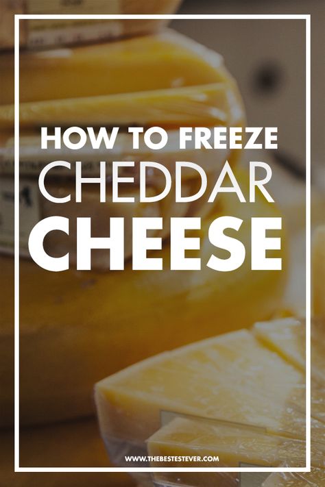 Can You Freeze Cheese, Freezing Cheese, Salad Storage, Freezing Food Guide, Freeze Food, Cheddar Cheese Recipes, Freezing Food, Freezer Meal Planning, Cheese Cubes