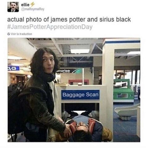 Severus Sneep, Funny Celebrity Memes, Credence Barebone, Celebrity Memes, Harry Potter Memes Hilarious, Images Harry Potter, Potter Facts, Harry Potter Headcannons, Liam Neeson