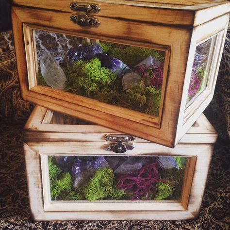 Terrarium Box Crystal Garden Crystal Terrarium Kit Girlfriend Gift Raw Crystals Healing Crystals and Stones Bohemian Decor Crystal Big Indoor Plants, Dream Jar, Terrarium Gifts, Fairy Garden Terrarium, Earthy Home, Crystal Garden, Terrariums Kits, Garden Terrarium, Terraria