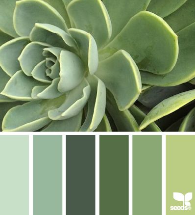 Inspiration Shabby Chic Color Palette, Design Seed, Shabby Chic Colors, Palette Design, Kitchen Decor Themes, Theme Color, Design Seeds, Color Palette Design, Natural Home Decor