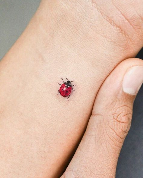 Ladybird Tattoo, Natur Tattoo Arm, Ladybug Tattoo, Sketch Style Tattoos, Lady Bug Tattoo, Insect Tattoo, Bug Tattoo, Tasteful Tattoos, Tattoos Geometric