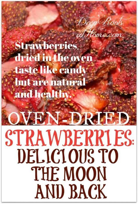 Baking Strawberries, Oven Snacks, Bake Strawberries, Strawberry Chips, Oven Dried Strawberries, Summer Desserts Easy Healthy, Dehydrated Strawberries, Elderberry Syrup Recipe, The Astronauts