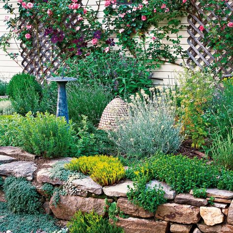 Why You Need to Plant an Herb Garden Right Now—And How to Get Started Herb Garden In Front Of House, Stone Herb Garden, Rock Herb Garden, Herb Landscaping Front Yard, Backyard Herb Garden, Backyard Plans, Herbs Growing, Rockery Garden, Fairytale Garden